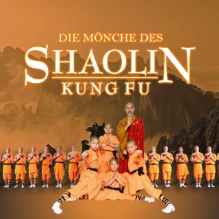 _wpframe_custom/gallery/files/wpf_sitemanager/t_b_shaolin_25_meister_schueler_orange-sc_highl_art_square_1727488861jpg_1732099910.jpg